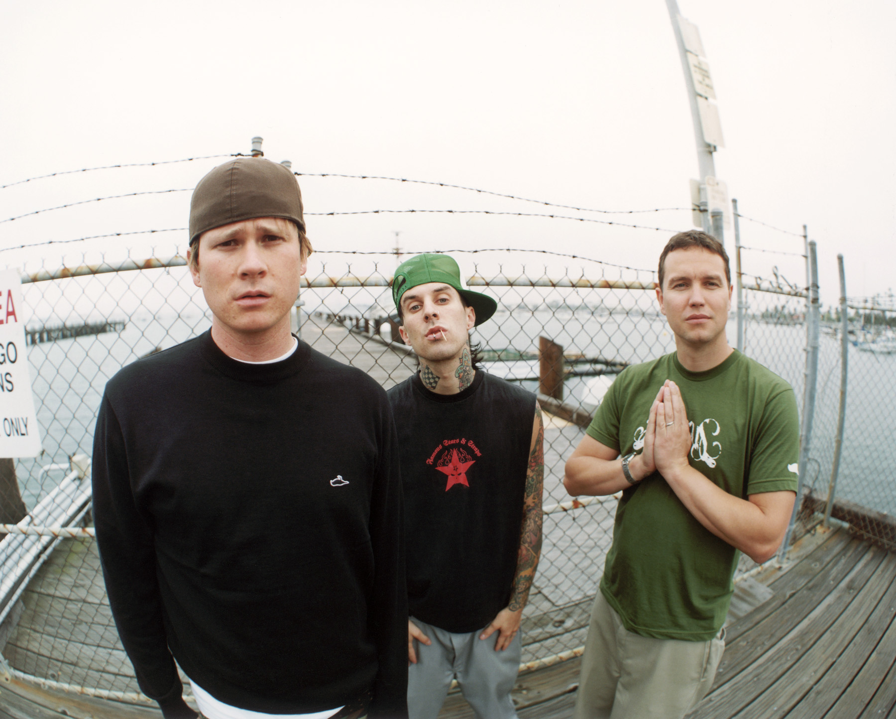 blink2.jpg